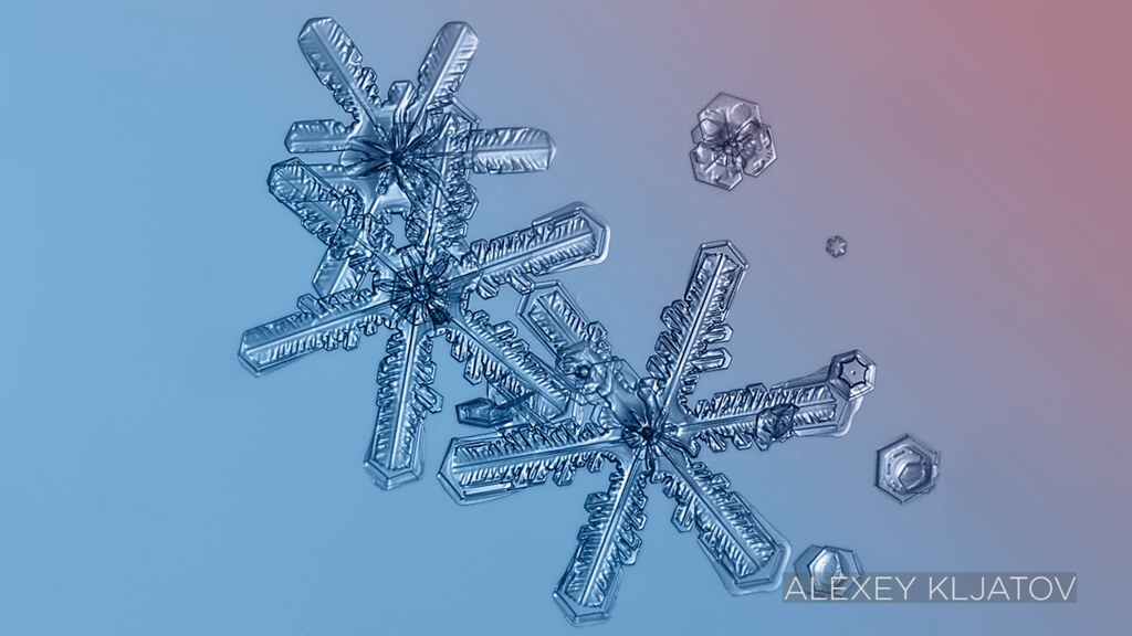 Card for the Day:&nbsp;Crone